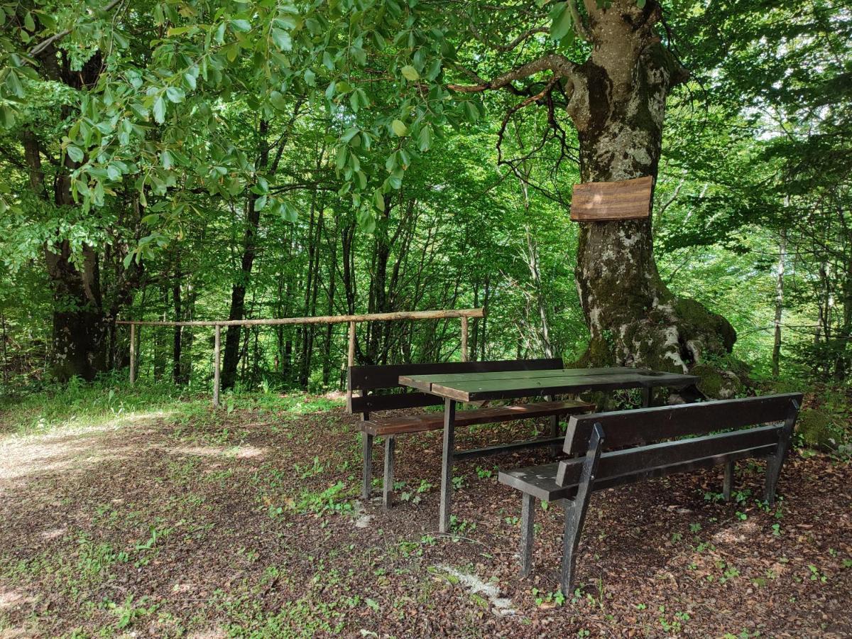 Holiday Home "Sleme" With Jacuzzi, Big Garden And Arbor With Fireplace Skrad エクステリア 写真