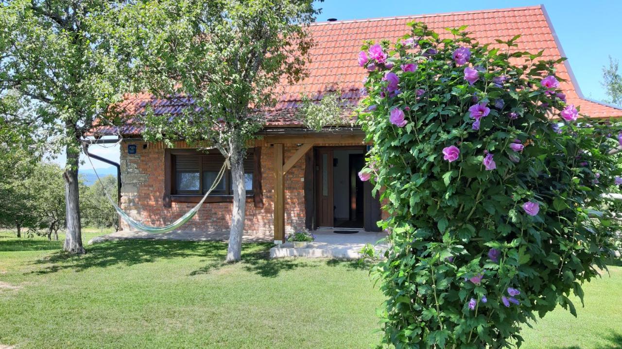 Holiday Home "Sleme" With Jacuzzi, Big Garden And Arbor With Fireplace Skrad エクステリア 写真